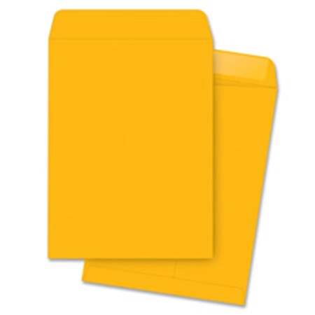 Davenport Catalog Envelopes - Kraft - 9in.x12in., 20PK DA3201603